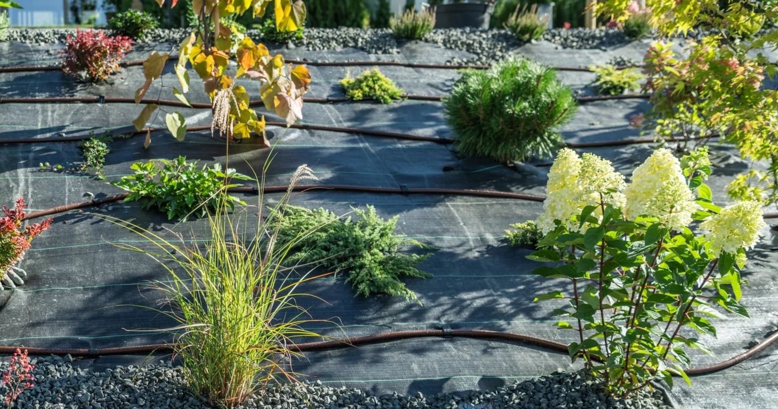 Softscape Planting